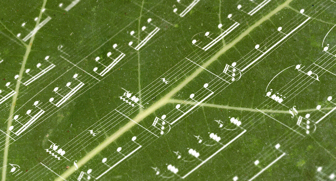 Close up de folha verde de árvore com notas musicais sobrepostas