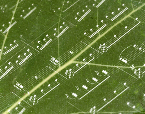 Close up de folha verde de árvore com notas musicais sobrepostas