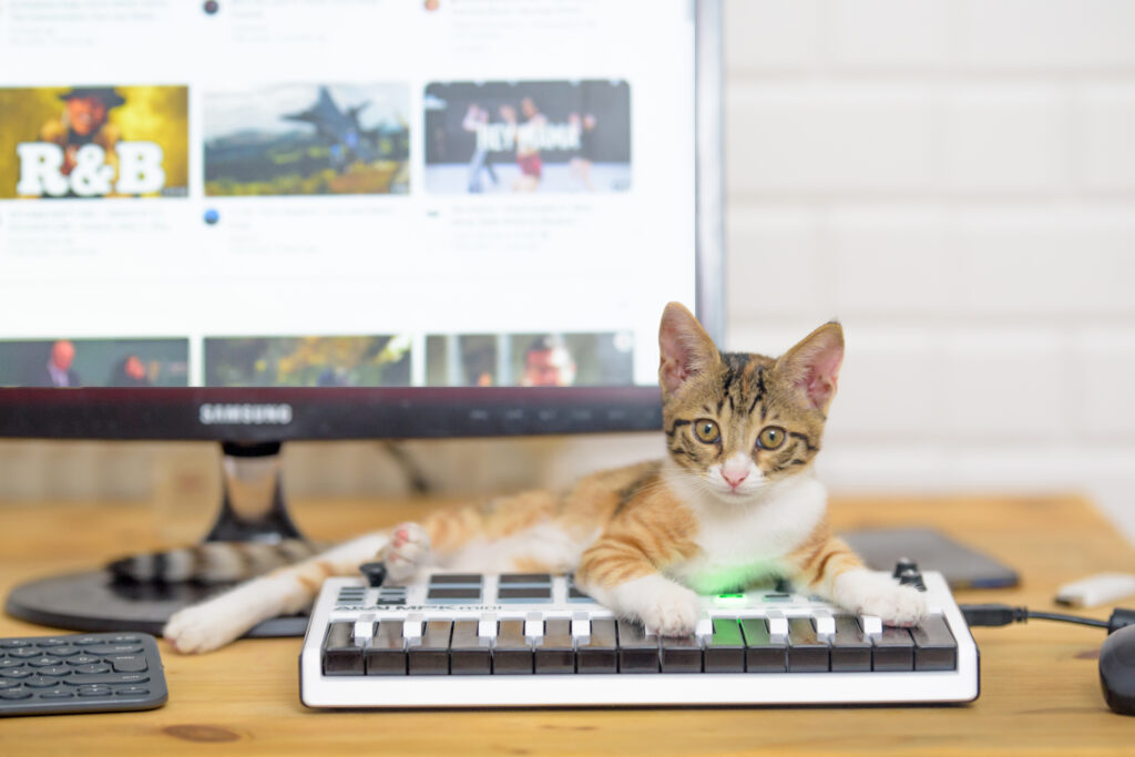 Um filhote de gato malhado deitado sobre um pequeno teclado MIDI em uma mesa de madeira, em frente a um monitor de computador ligado